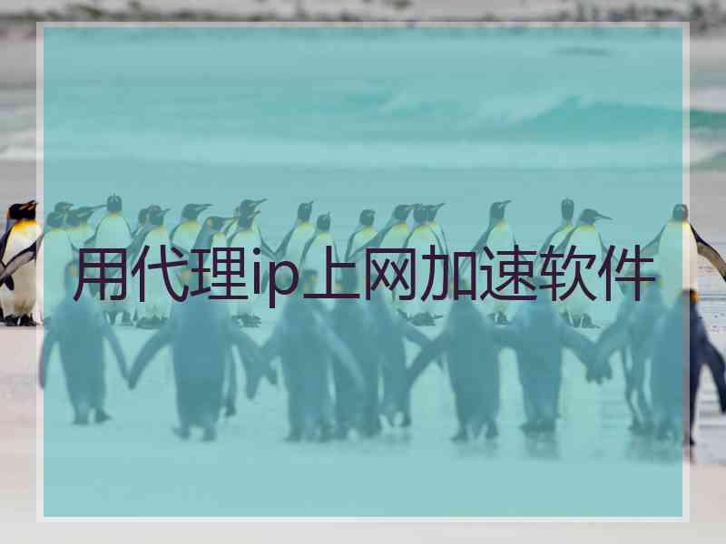 用代理ip上网加速软件 用代理ip上网加速软件